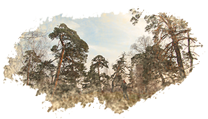 Посещение ГОРОДЕЦКОГО ВАЛА